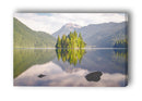 Pinos en el lago