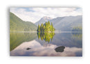 Pinos en el lago