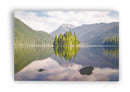 Pinos en el lago