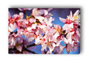 Florecer en horizontal