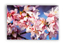 Florecer en horizontal