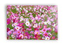 Vintage flowers